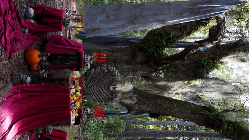 The Deer film still 20